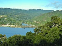 GETTING OUT: Hiking the Sierra Azul