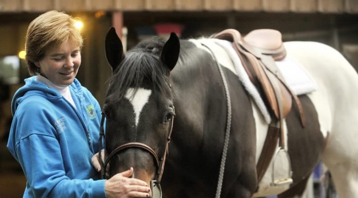 For the love of pintos