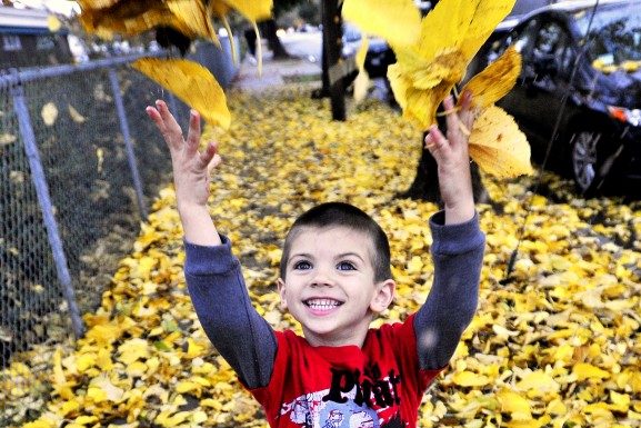 Morgan Hill Holiday Events