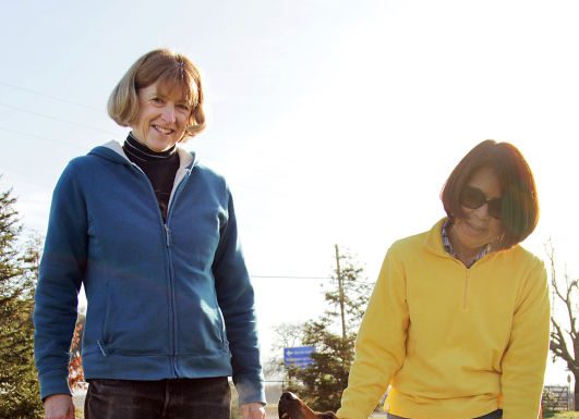 Dog prepares for Golden Gate Kennel Club