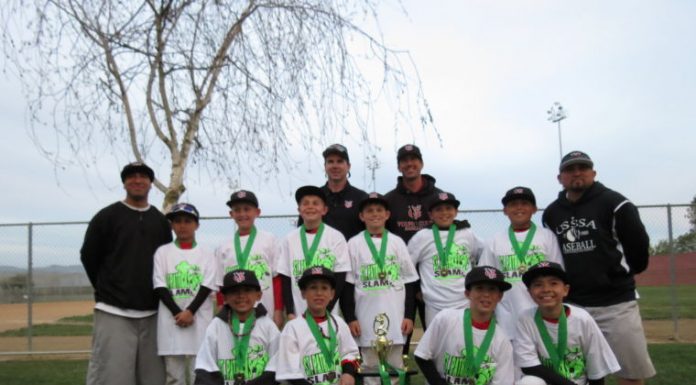Baseball: Young Gunz wins St. Patrick’s Slam title