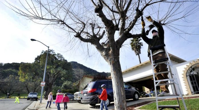 PRC: Trail planning needs more communication