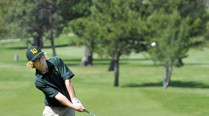 Golf: Moeller, Live Oak boys continue BVAL hot streak with win over Pioneer