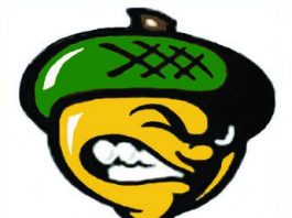 Volleyball: Victor shines, but Live Oak boys lose five-set heartbreaker