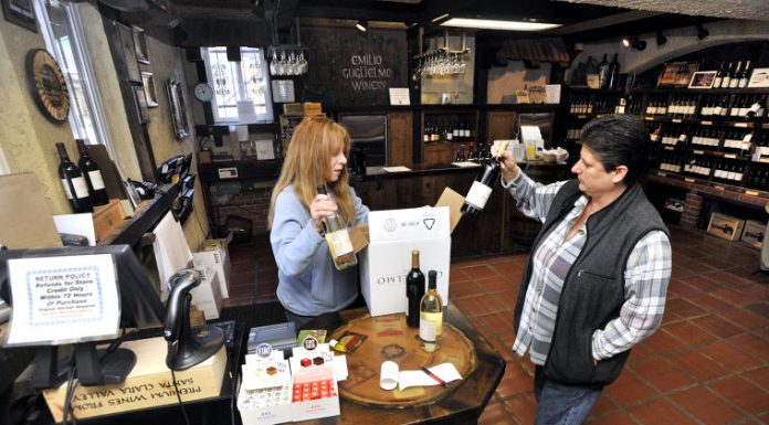 A grape-filled genealogy