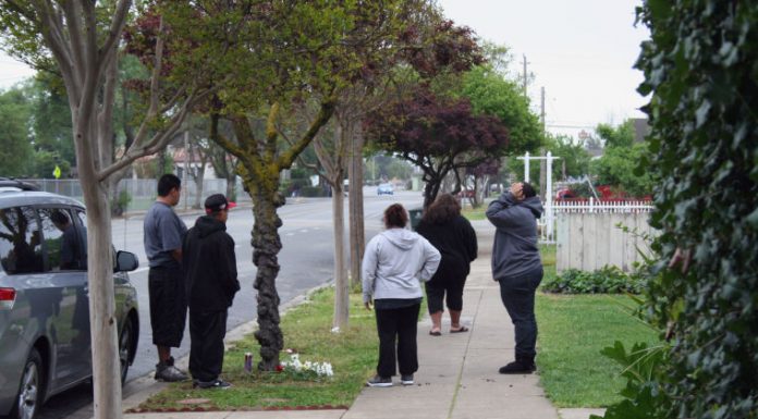 Outstanding third suspect arrested in gang slaying case