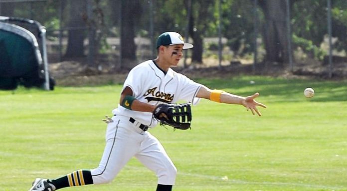Baseball: Acorns eliminated from CCS playoffs