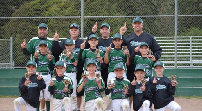 Baseball: 9U Mustangs claim another tourney title