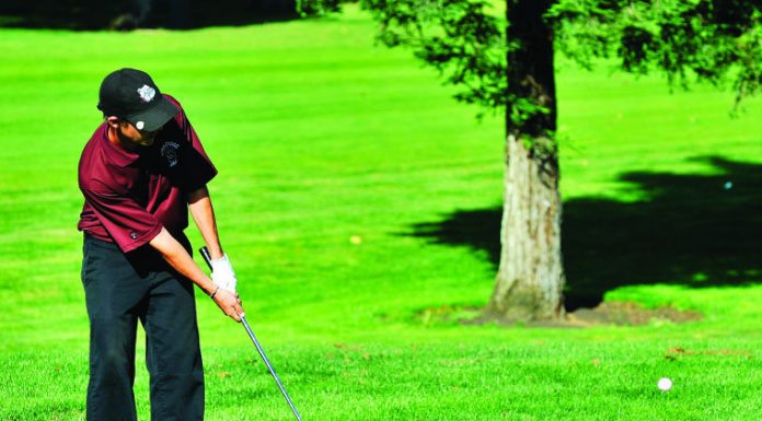 Roundup: Golf teams eliminated at BVAL finals