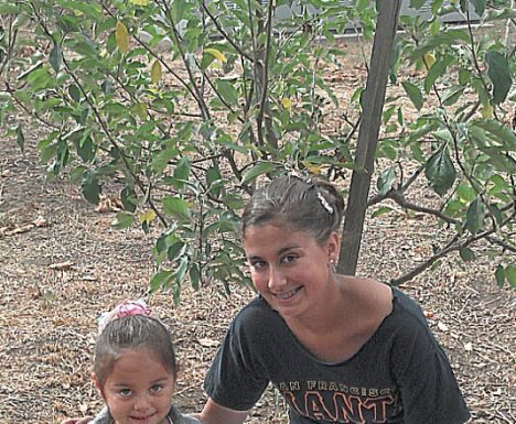 Care of apple trees now in good little hands