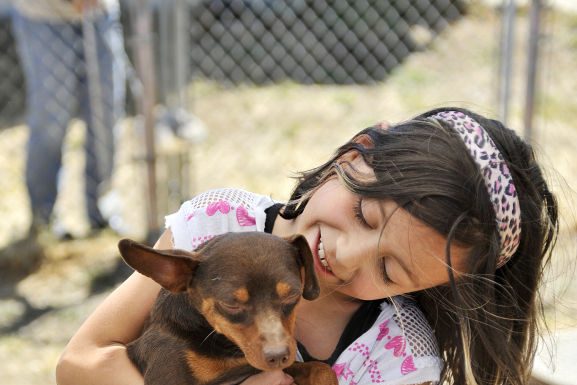 Maddie’s Pet Adoption Days at the San Martin Animal Shelter