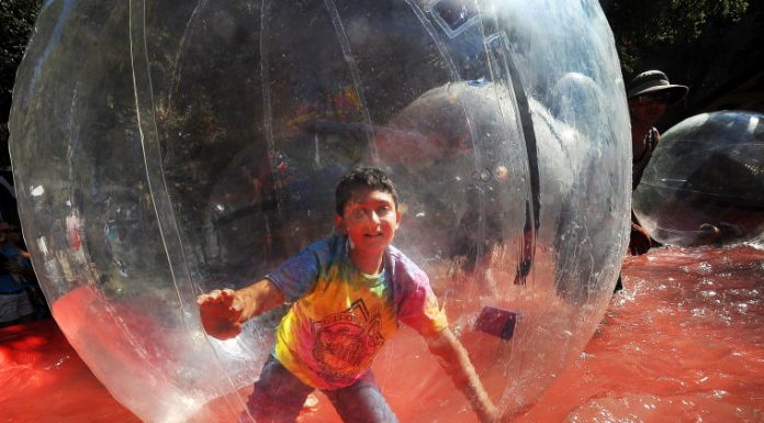 2013 Gilroy Garlic Festival Day Two Photos