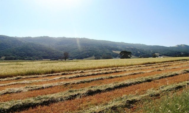 Your local ag briefs: Photo contest, conservation award and Farm Bureau ups social media presence