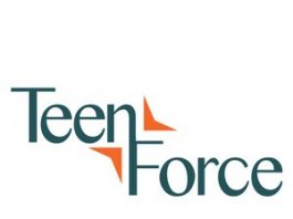 TeenForce brings youth jobs program to South County