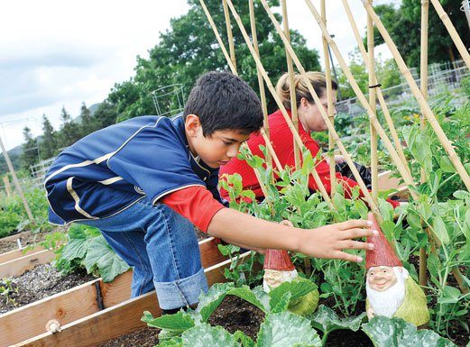 Garden: Going, going, gone?