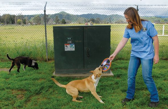 Wasson leaving post at animal shelter in San Martin