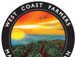Downtown Association to launch year-round Farmers’ Market