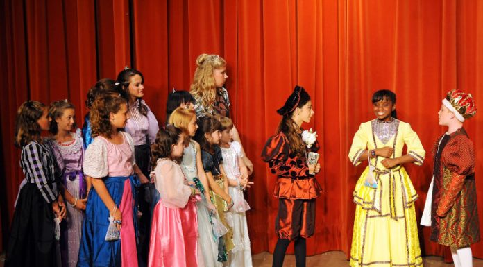 SVCT’s Twelve Dancing Princesses