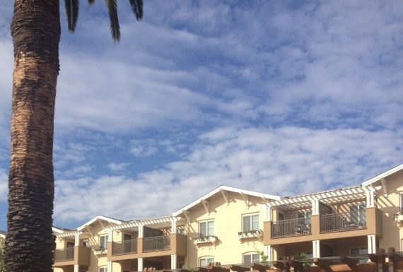 New homes springing up all over