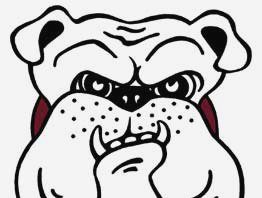 Action-packed weekend at Sobrato HS