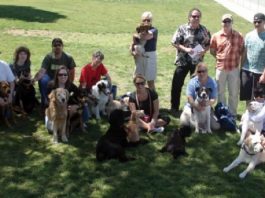 Dog park closed until Thursday