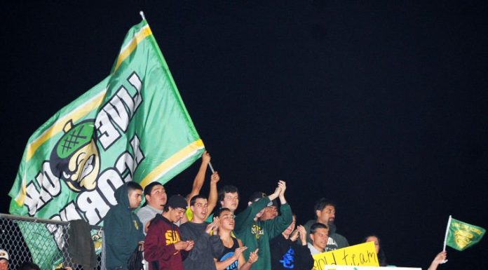 Nutty fans look to give school spirit a boost with Gold Team