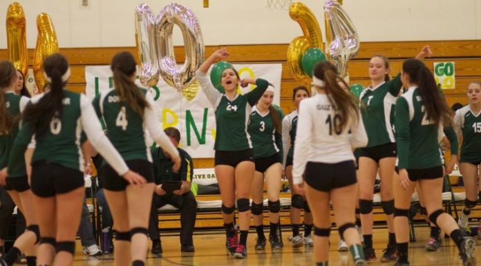 Live Oak closes the book on 2013 volleyball season