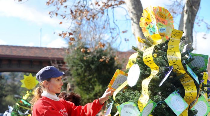 Exchange Club Gallery of Trees Exhibit