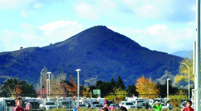 Calling all recreation fans