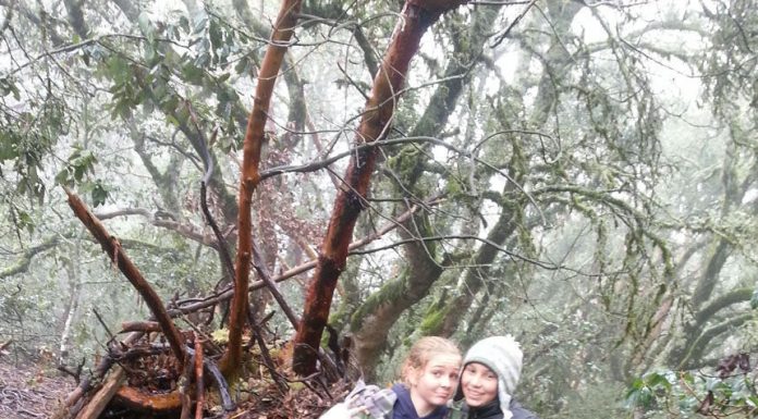 Middle school students take on shelter-building adventure