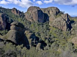 Hiking Barry’s Pinnacle loop