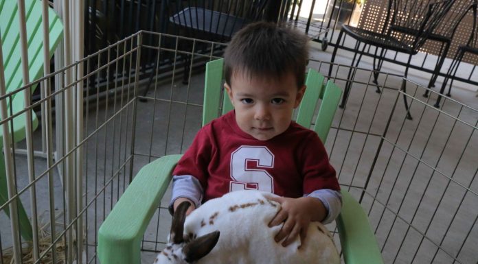 A special holiday visit