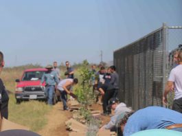 Gold rush for MHUSD schools