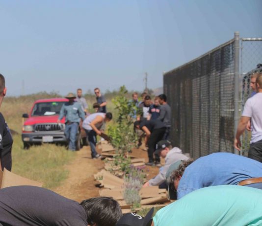 Gold rush for MHUSD schools