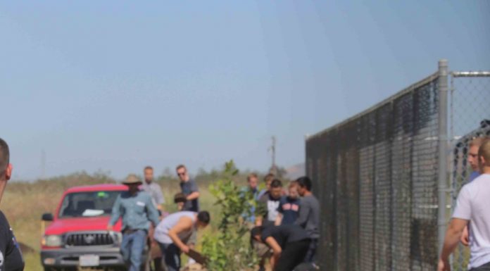 Gold rush for MHUSD schools