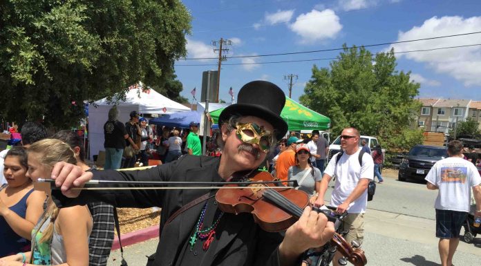 Photo gallery: What the fungus