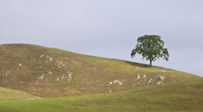 Preserve rate jumps ahead two full stars