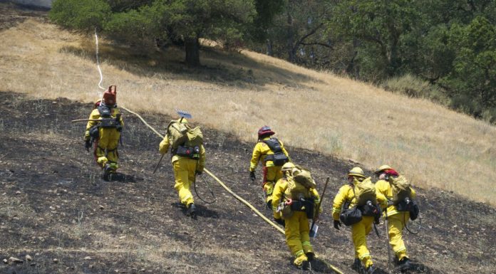 Wildfire burns 7 acres of vegetation near Eagle Ridge