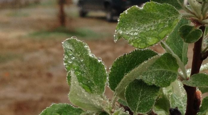 Light showers touch MH, more possible later Thursday