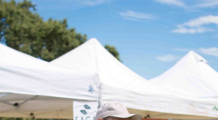 Celebrating open space