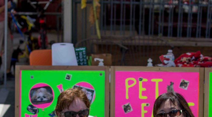 Pet wash raises funds for therapeutic nonprofits