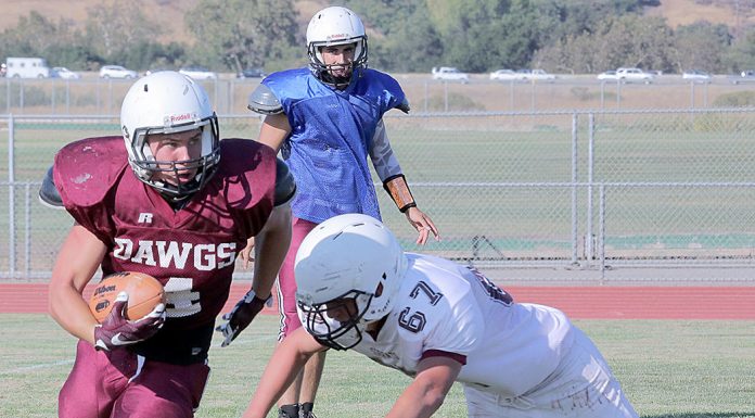 Sobrato aiming for a fast start against potent CHS