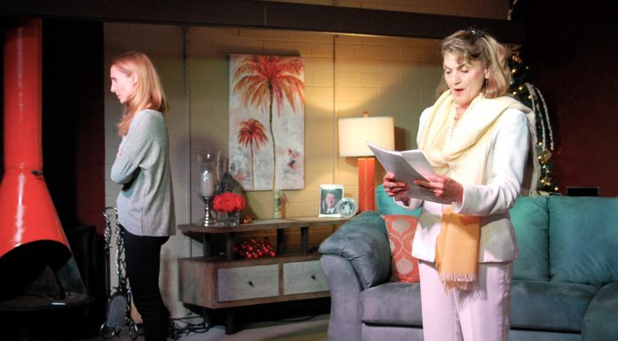 ‘Other Desert Cities’ gripping, thoughtful