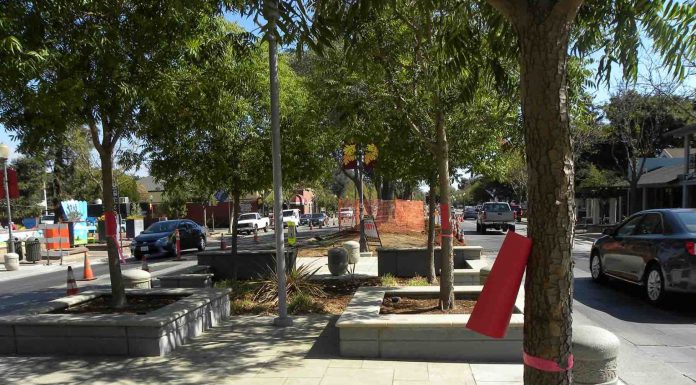 Red Phone: Downtown street trees will be removed