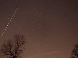 Shower with friends and watch meteors together