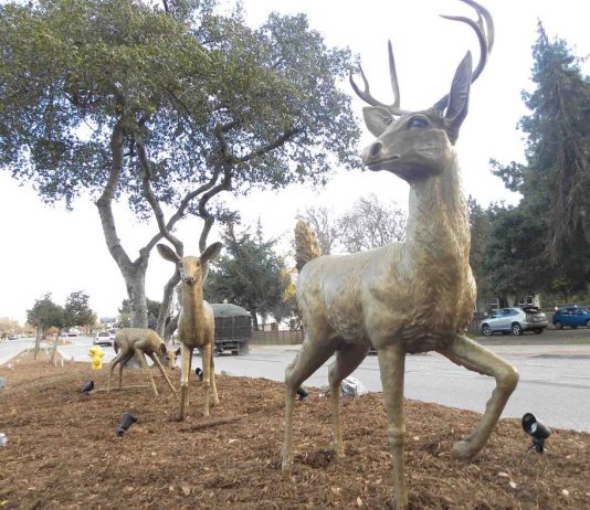 Morgan Hill seeks input on public art master plan