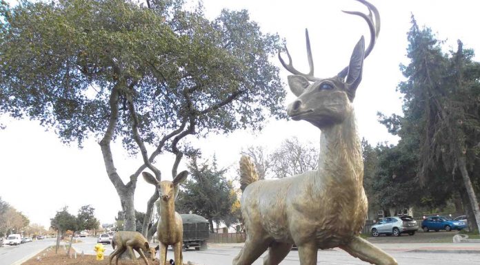 Morgan Hill seeks input on public art master plan