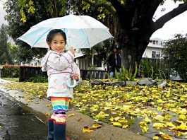 Stormy weather sticking around in South County