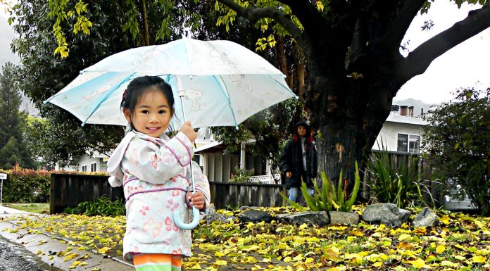 Stormy weather sticking around in South County