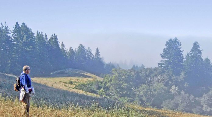 Getting Out: Stillness and silence bring out beauty